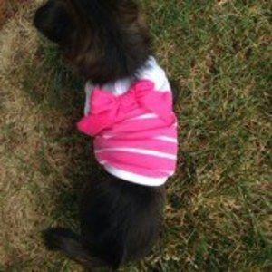 Meet your Posher, Jada